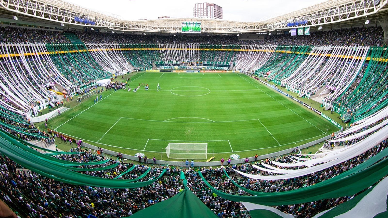 Arena Palmeiras - Torcida